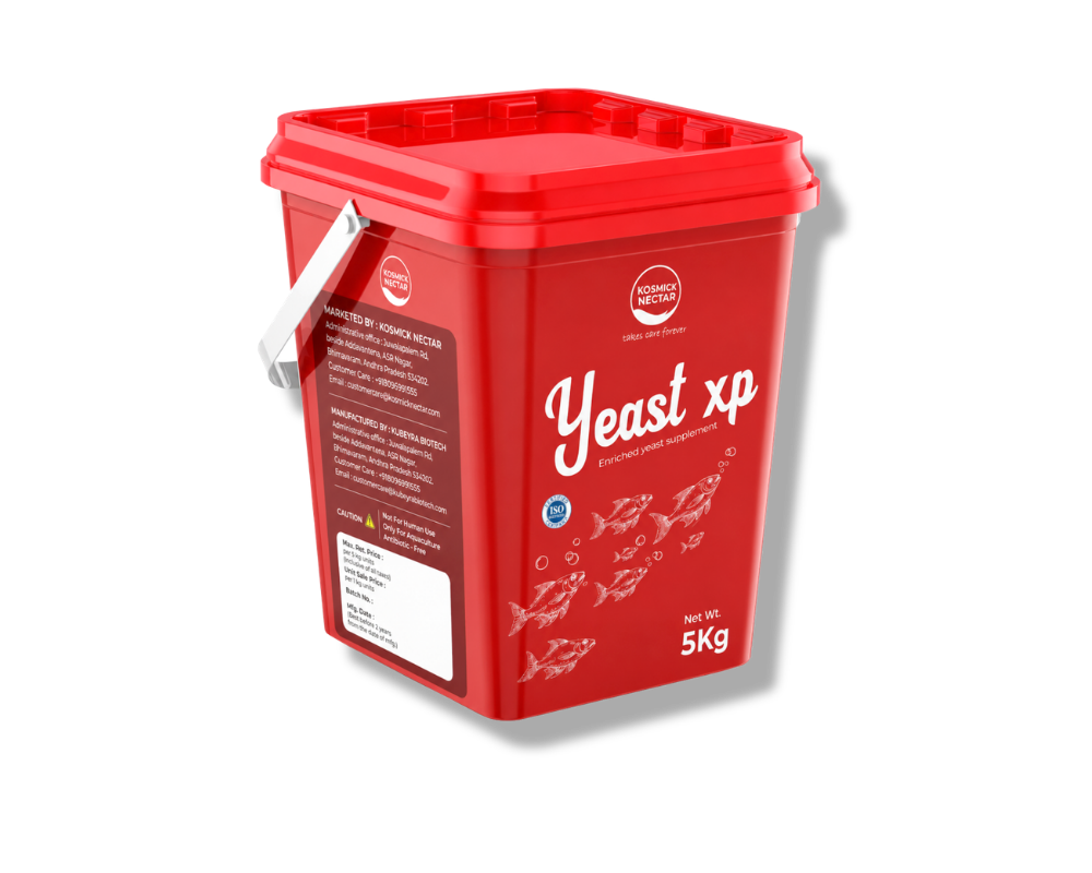 YEAST XP